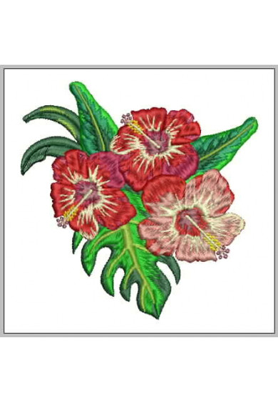 Plf033 - Hibiscus branch